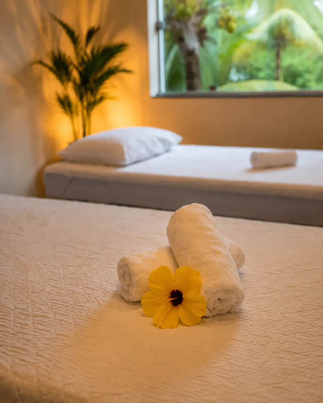 Detalhes preparados para uma massagem relaxante
